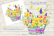 Daffodil  Narcissus  Watercolour, an Illustration by MitrushovaArt (Thumbnail 6 of 7)