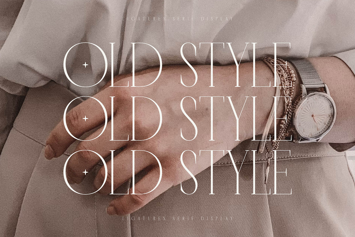 Horence  Ligature Serif Display, a Serif Font by Storytype Studio (Photo 7 of 15)
