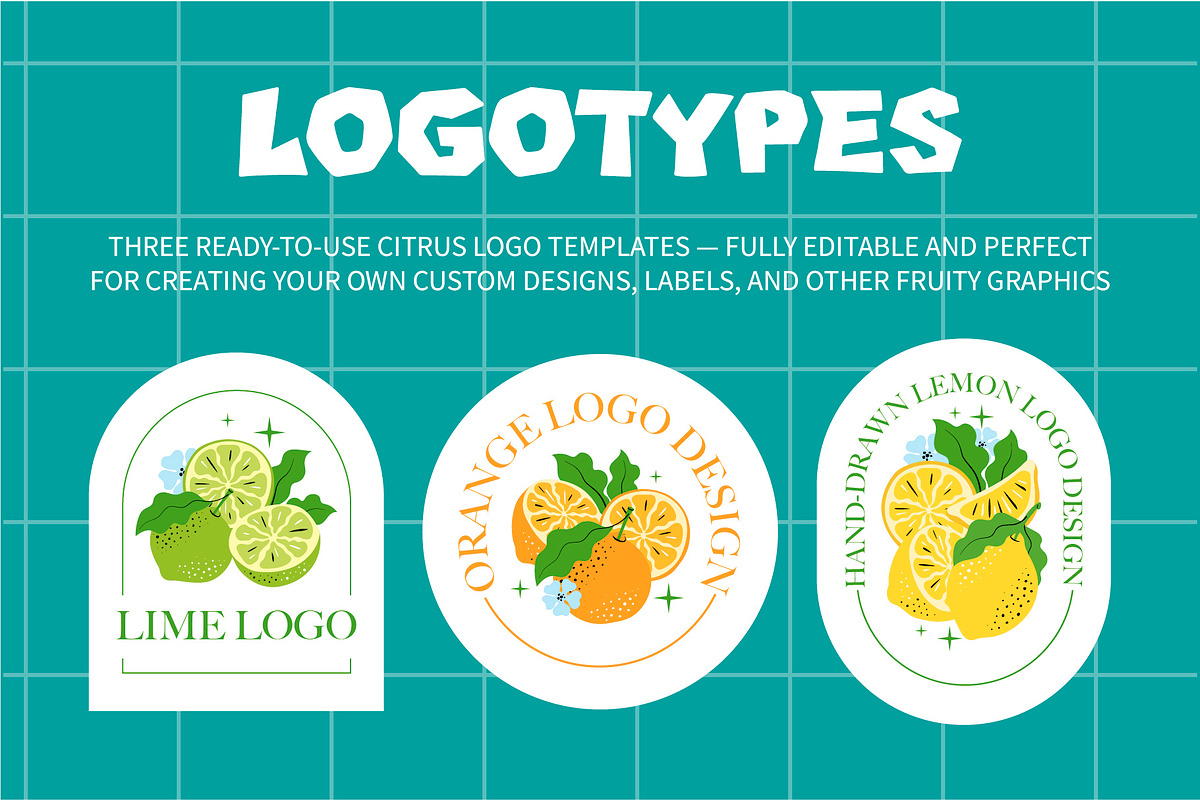 Hand-Drawn Citrus Vector Design Set, a Food Illustration by Lettering_Logo (Photo 9 of 11)