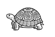 Turtle Line Art Illustration Bundle, an Illustration by Creativeshirt (Thumbnail 12 of 48)