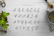 Paradise, a Script Font by Heroglyphs Studio (Thumbnail 3 of 7)
