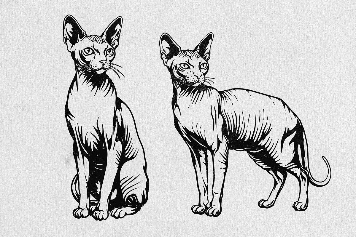 Sphynx Cat Illustration Pack, an Animal Illustration by Tekuni (Photo 12 of 14)