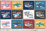 Cute Sharks Set and Patterns, an Animal Illustration by Lemon Workshop (Thumbnail 15 of 16)