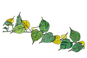 Watercolor palm leaves clipart, an Illustration by Watercolor_Vector Graphic (Thumbnail 7 of 15)