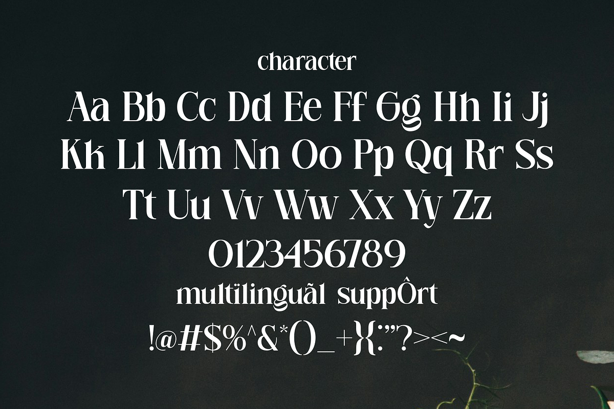 Rosevera – Luxury Blending Classic, a Serif Font by Haps Space (Photo 4 of 7)