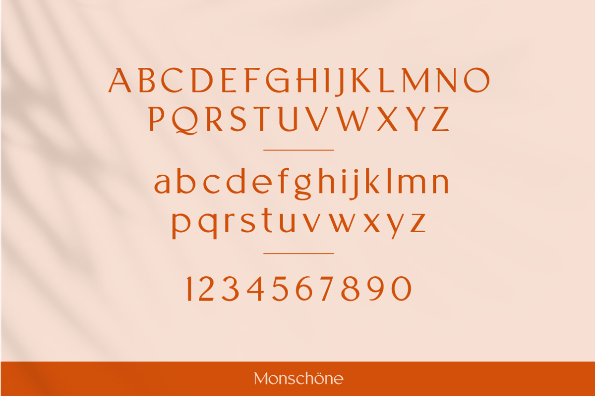 MONSCHONE, a Serif Font by Bagerich Type Foundry (Photo 3 of 10)