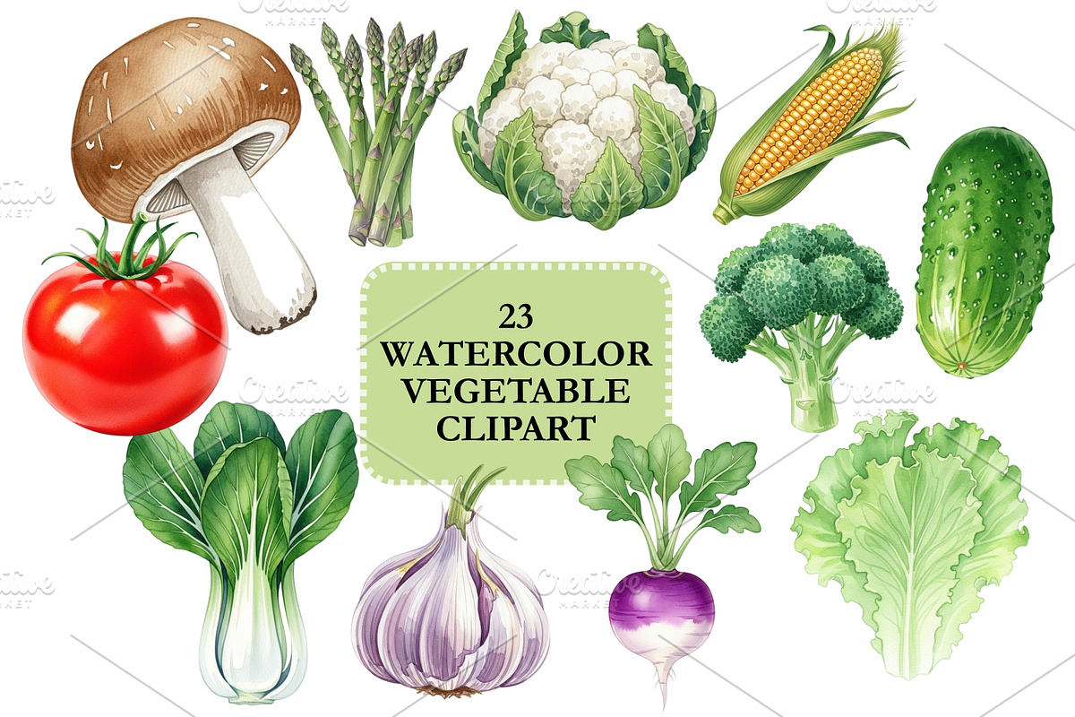 Watercolor Vegetable PNG Clipart, a Graphic by HillTract