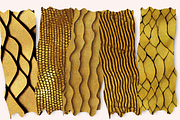 Gold Snake Skin Seamless, a Pattern Graphic by PrintablesByFranklyn (Thumbnail 10 of 10)