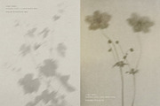 Diaphane - Blurry Floral Backgrounds, a Background Graphic by alonahaidash (Thumbnail 14 of 16)