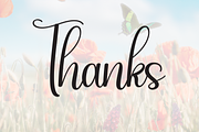 Butterfly | Script Font, a Handwritten Font by Scratchones (Thumbnail 8 of 8)