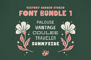 Hand Drawn Font Bundle 1