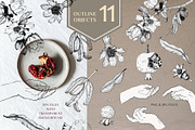 Oriental Botanical Watercolor Set, a Decorative Illustration by AnitaPol (Thumbnail 3 of 15)