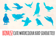 Feathers Watercolor and Ink Bundle, an Animal Illustration by Violet LeBeaux (Thumbnail 4 of 4)
