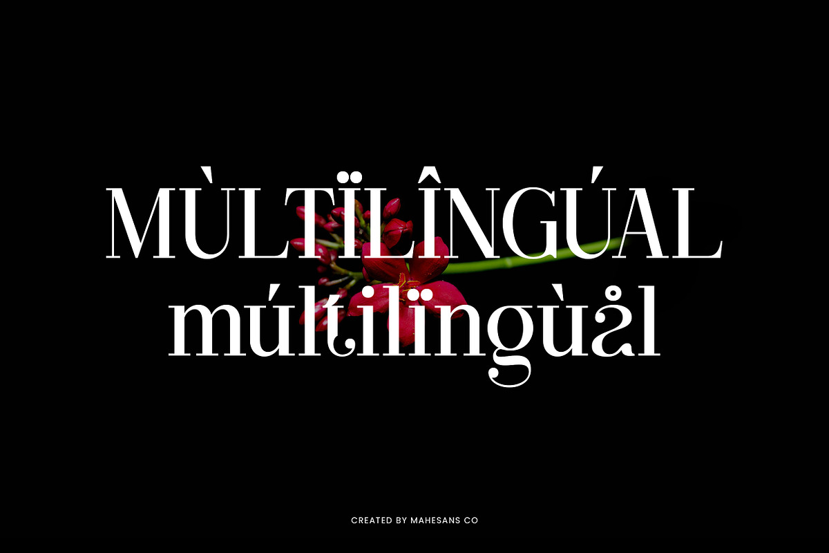 Clarita | Modern Unique Serif, a Serif Font by Mahesans Co (Photo 10 of 10)