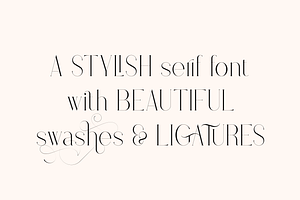 Stolen Love - Elegant Serif Typeface