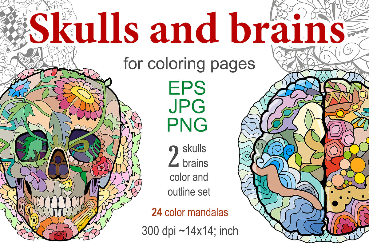 Decorative skulls and brains, a Graphic by Watercolor fantasy (Photo 2 of 9)