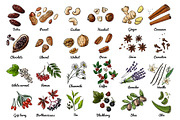 Vector food: vegetables and fruits, a Food Illustration by irina.vaneeva (Thumbnail 3 of 16)