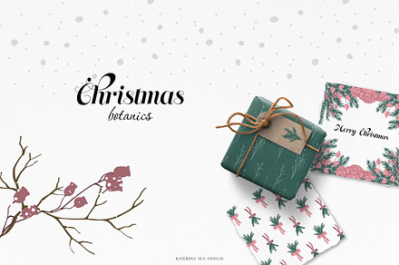 Christmas botanical collection
