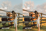 50+ Golden Hour Lightroom Bundle, a Preset Add-On by TheWayfarerShoppe (Thumbnail 7 of 11)
