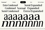 Felgiora, a Serif Font by Propertype (Thumbnail 3 of 16)