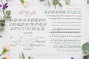 UT Vintagnie - A Wedding Script Font, a Script Font by Universitype (Thumbnail 5 of 12)