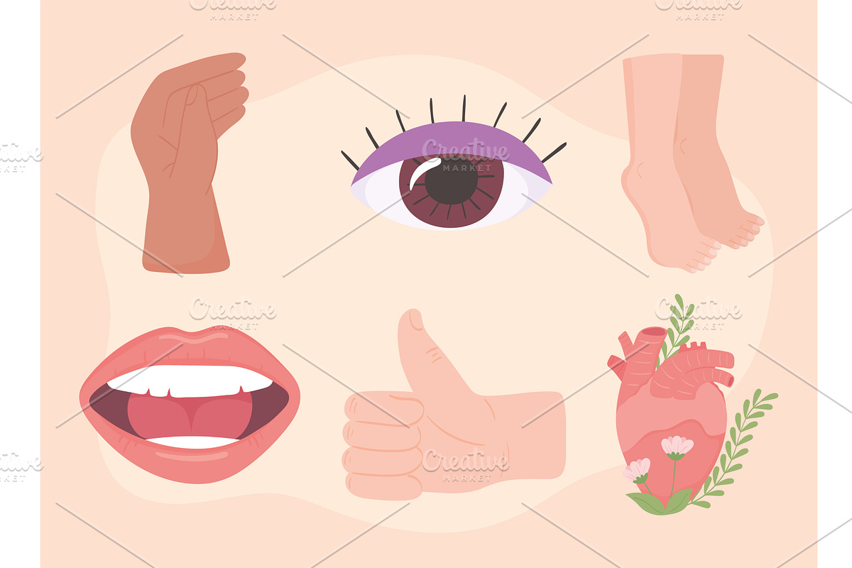 set human body parts, an Object Illustration by studiogstock