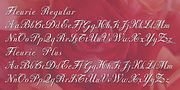Fleurie, a Script Font by Wiescher-Design (Thumbnail 4 of 4)
