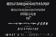 MALAFEN Graffiti Font, a Handwritten Font by NTC Graphic (Thumbnail 8 of 9)