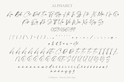 Cellanest - Modern Handwritten Font, a Handwritten Font by Myn Type (Thumbnail 12 of 13)