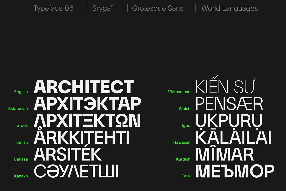 Azorath — Neo Brutalist Sans Font, a Sans Serif Font by Sryga (Photo 4 of 15)