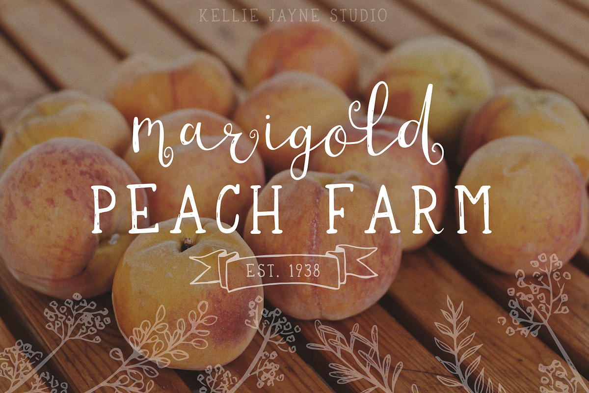 Blueberry Muffin Handwritten Font, a Script Font by Kellie Jayne Studio (Photo 3 of 10)