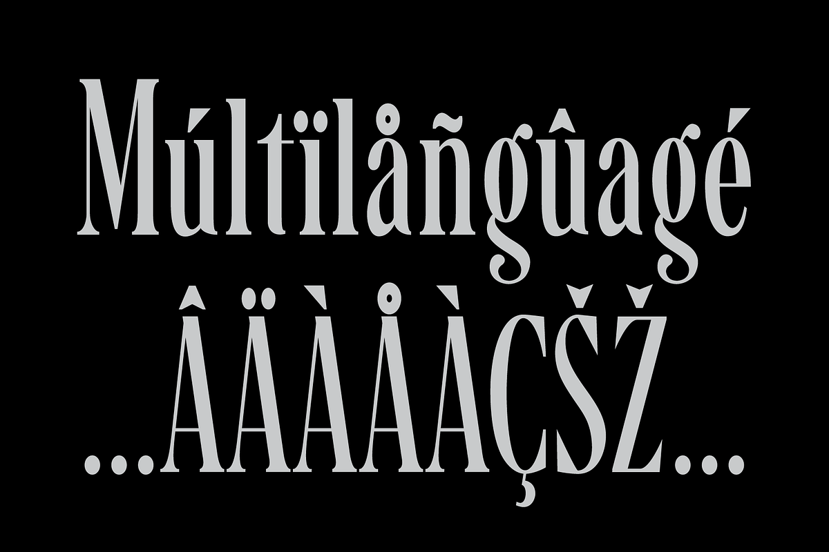 Santall: Modern Serif Font, a Serif Font by Andfonts (Photo 10 of 10)