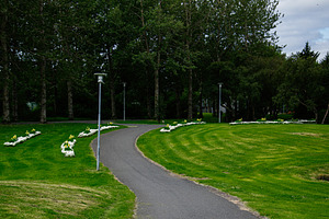 Beautiful paved path in a Reykjavik park with vibrant greenery and flowers, a Photo by AS photostudio
