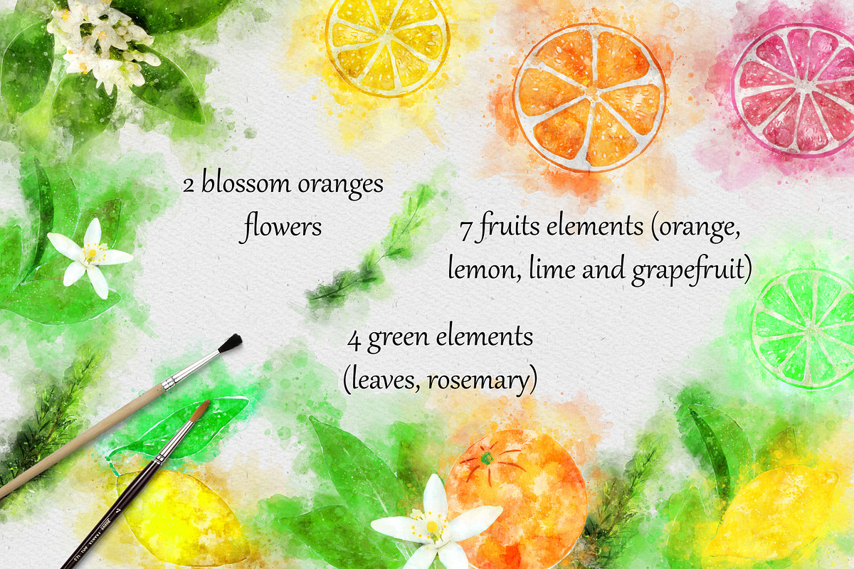 Mediterranean Summer Citrus Watercol, an Illustration by PaperAndCrayons (Photo 3 of 5)