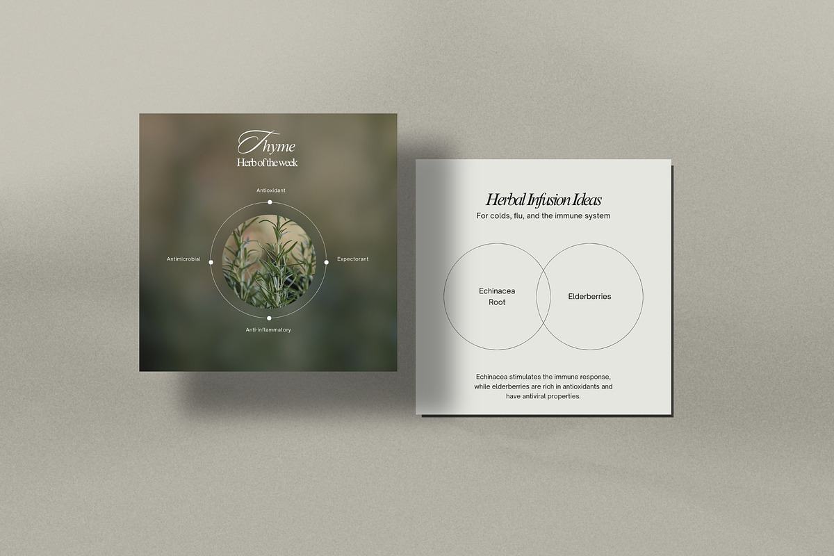 Herbal Medicine Instagram Templates, a Social Media Template by Terraa Studio Design (Photo 4 of 10)