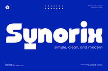Synorix - Clean Modern Sans