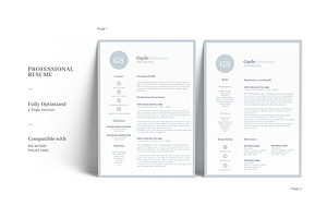 Creative And Professional Resume