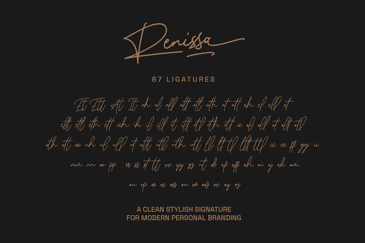Renissa Signature Font, a Script Font by Rocket Template (Photo 3 of 14)