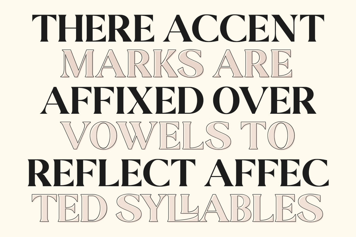 Stiepa | Modern Serif & Sans, a Serif Font by Dora Typefoundry (Photo 7 of 28)
