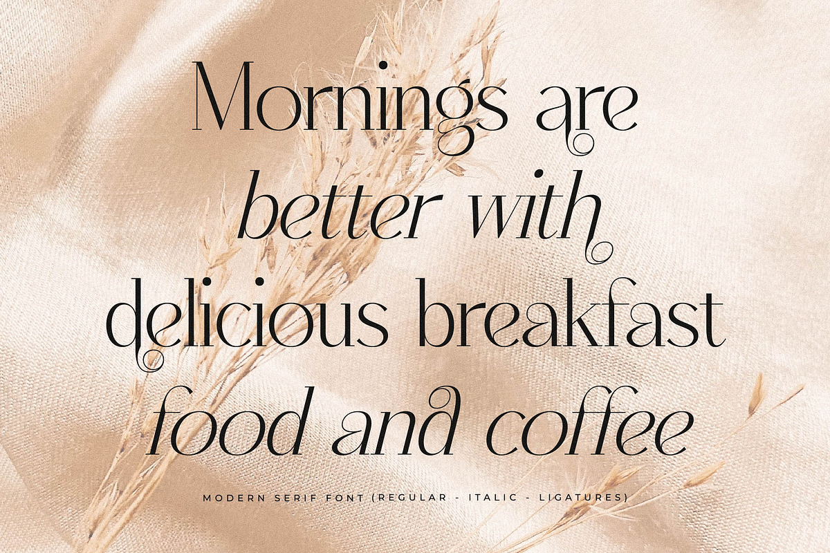 Qenliago Modern Serif Font, a Serif Font by Storytype Studio (Photo 9 of 15)