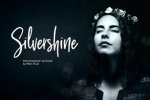 Silvershine Photoshop Action