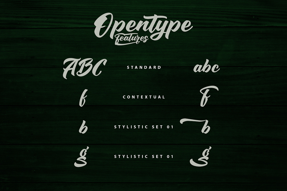 Sounding - Handlettering Script Font, a Script Font by Typefactoryco (Photo 6 of 9)