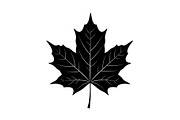 Maple Leaf Silhouette Bundle, a Graphic by musafir_fashion (Thumbnail 8 of 10)
