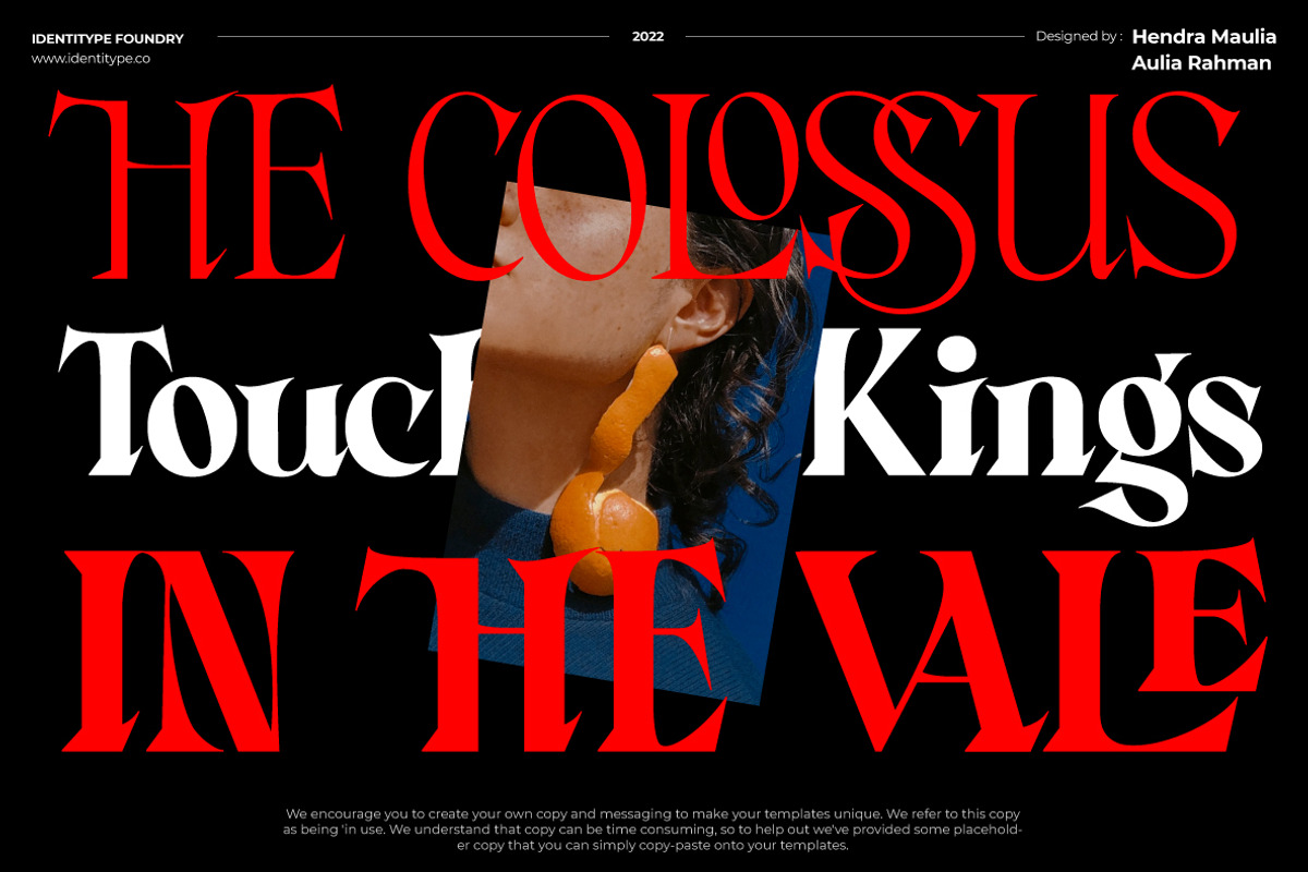 Consta - Premium Serif Font, a Serif Font by Identy Studio (Photo 4 of 18)