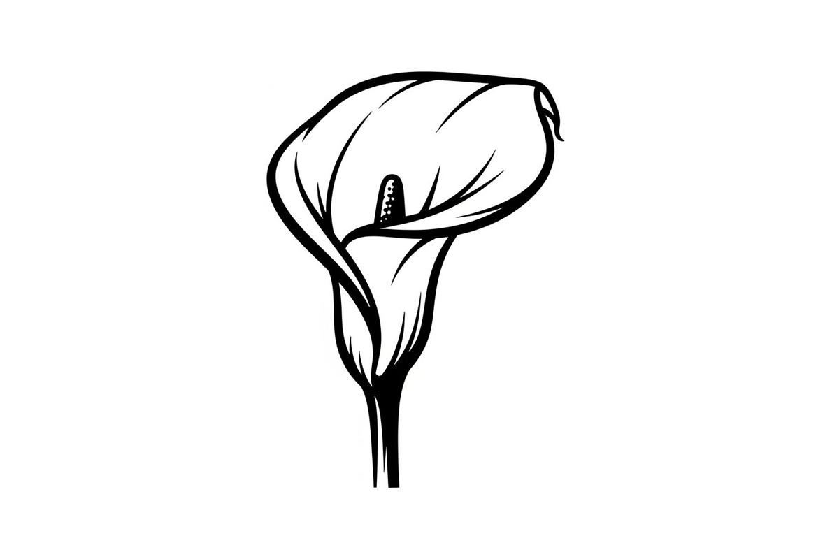 Black Lily Flower Vector Bundle, an Illustration by Designs_River (Photo 38 of 51)