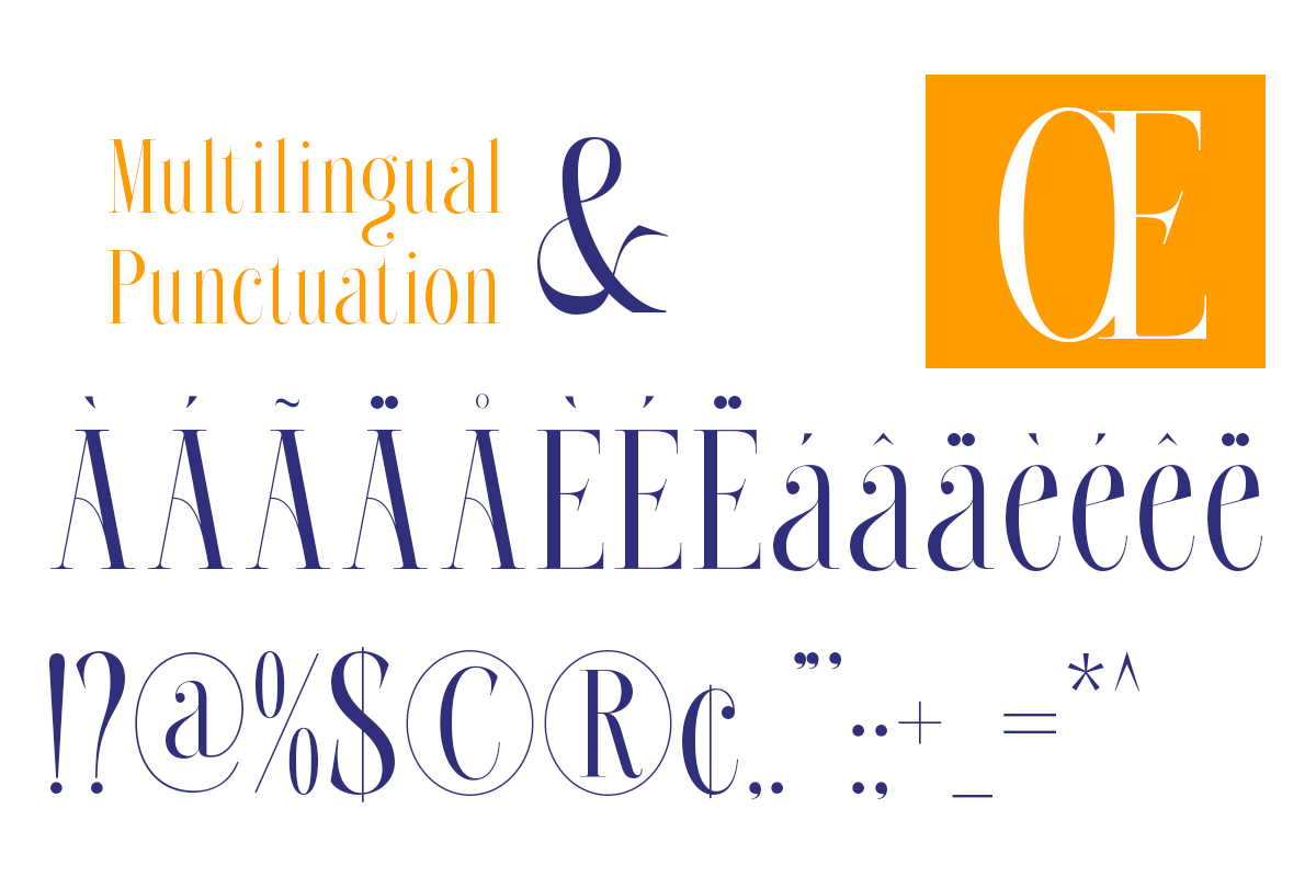 Roelvo - Clean Elegant Display Serif, a Serif Font by Qweera Studio (Photo 10 of 12)