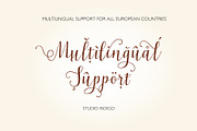 Celadon Modern Calligraphy Font, a Script Font by Studio Indigo (Thumbnail 15 of 15)