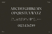 Pros - Elegant Serif, a Serif Font by Luna Shop (Thumbnail 2 of 6)