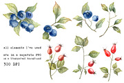 Watercolor berries, a Food Illustration by Dashamoony (Thumbnail 4 of 4)