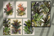 Tropical Foliage Art Prints, a Decorative Illustration by Jeanna Draw (Thumbnail 1 of 10)